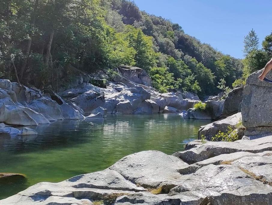 Apartmán Gite Des 3 Vallees - Le Soleil Des Cevennes Saint-Jean-du-Gard Exteriér fotografie