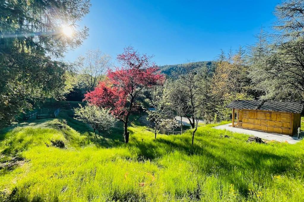 Apartmán Gite Des 3 Vallees - Le Soleil Des Cevennes Saint-Jean-du-Gard Exteriér fotografie