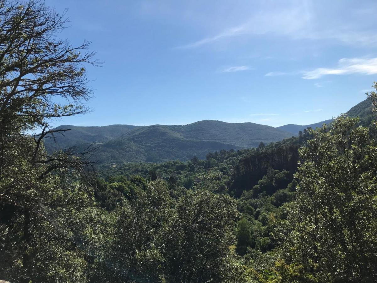 Apartmán Gite Des 3 Vallees - Le Soleil Des Cevennes Saint-Jean-du-Gard Exteriér fotografie