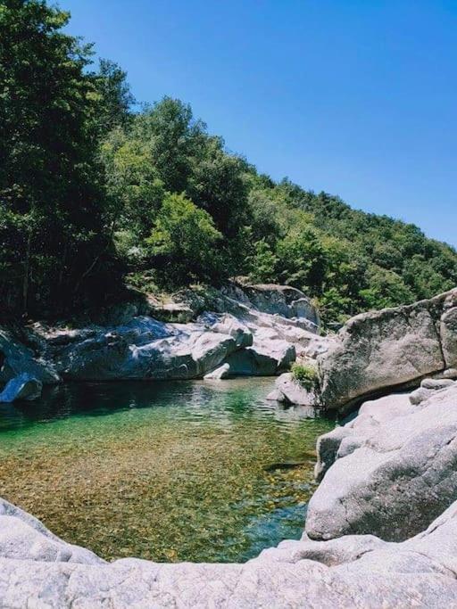 Apartmán Gite Des 3 Vallees - Le Soleil Des Cevennes Saint-Jean-du-Gard Exteriér fotografie