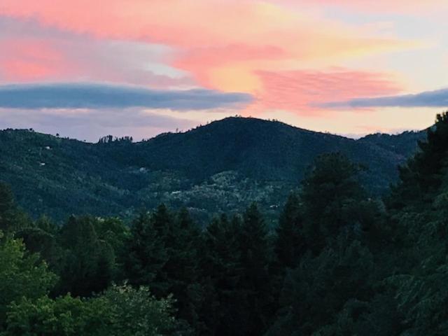 Apartmán Gite Des 3 Vallees - Le Soleil Des Cevennes Saint-Jean-du-Gard Exteriér fotografie